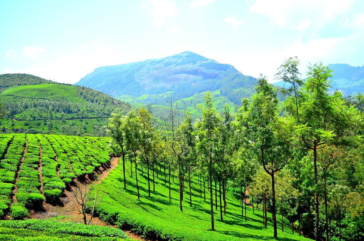 Munnar: মুন্নাৰ ইদ্দুকি জিলাৰ সমুদ্ৰপৃষ্ঠৰ পৰা ১৬০০ ফুট উচ্চতাত অৱস্থিত এইটো এটা হিল ষ্টেচন। মুন্নাৰ এটা মালয়ালম শব্দ, যাৰ অৰ্থ তিনিখন নদীৰ সংগম। ইয়াত তিনিখন নদী-মধুৰ পূজাহাৰ, নল্লা খান্নী আৰু কুণ্ডলী একে স্থানতে লগ হৈছে।