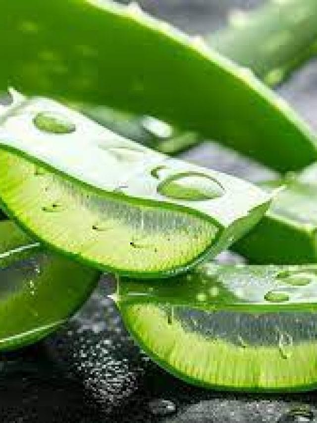 উজ্জ্বল ছালৰ বাবে কেনেদৰে ব্যৱহাৰ কৰিব এলোভেৰা জেল?