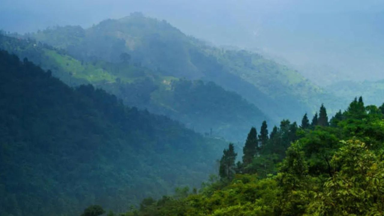 মিৰিক হ্ৰদৰ পৰা মাত্ৰ ৬ কিলোমিটাৰ দূৰত্বত টাবাকোছি অৱস্থিত। টাবাকোছিৰ পৰা গোপালধৰা চাহ বাগিচা, সীমান্ত দৰ্শন পইণ্ট, পশুপতি বজাৰ, মিৰিক হ্ৰদ আৰু মঠ, লেপচাজাগতকে ধৰি বিভিন্ন ঠাই ভ্ৰমণ কৰিব পাৰি।