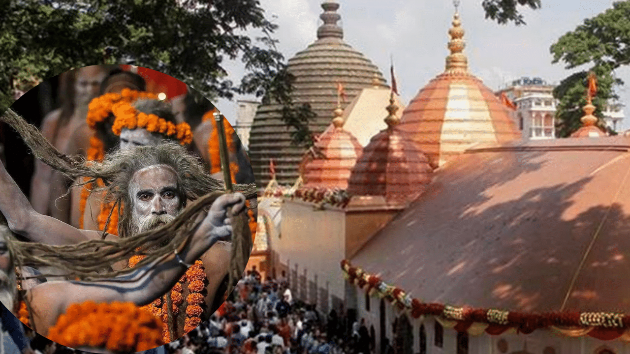Ambubachi mela 2025: অম্বুবাচী মেলা কেতিয়া? কেনেকৈ কৰিব মা কামাখ্যাৰ দৰ্শন, নিৰ্দেশনা জাৰি প্ৰশাসনৰ… Ambubachi mela 2025: অম্বুবাচী মেলা কেতিয়া? কেনেকৈ কৰিব মা কামাখ্যাৰ দৰ্শন, নিৰ্দেশনা জাৰি প্ৰশাসনৰ…