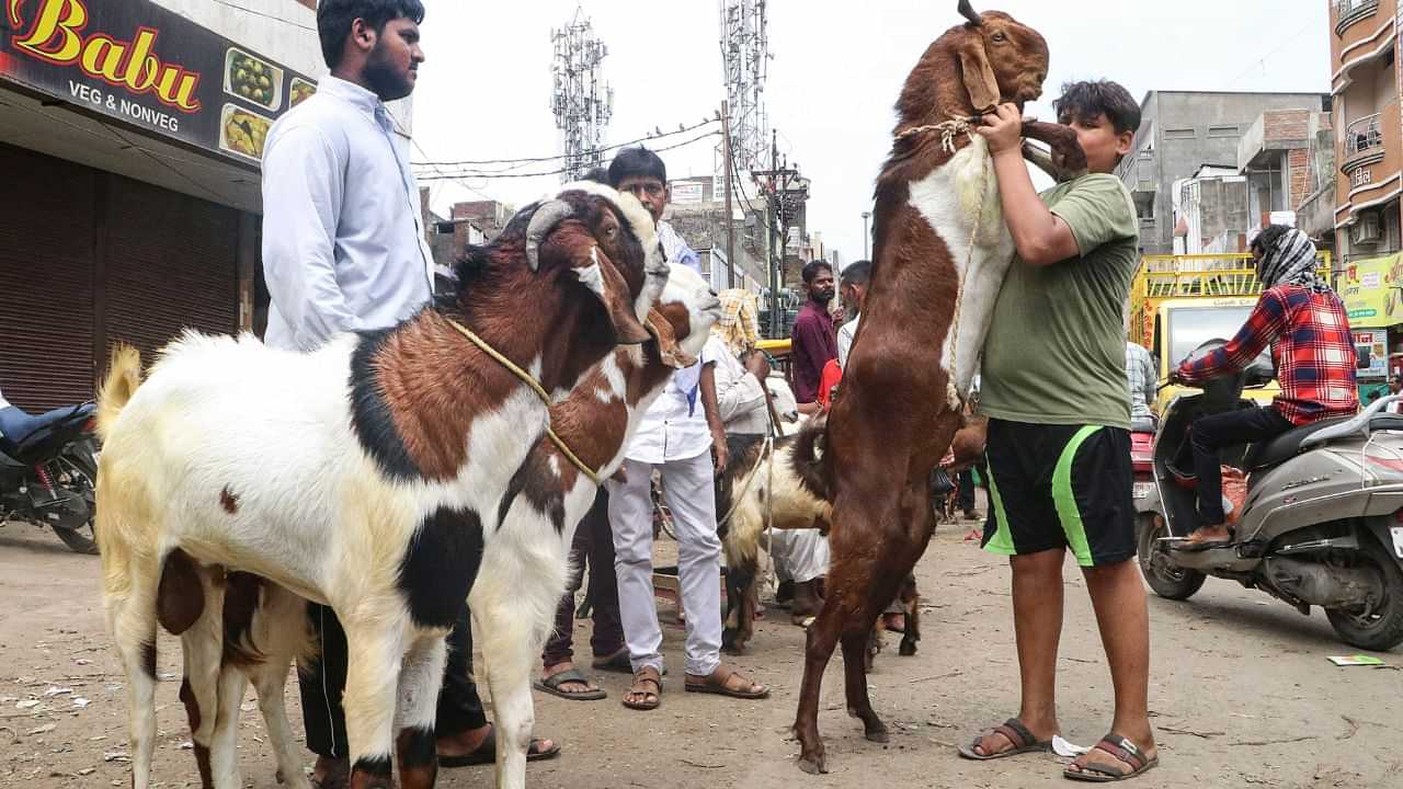 Eid ul-Adha 2024: আজি ঈদ উল আজহা, এই ঈদত কিয় ছাগলী বলি দিয়া হয় জানেনে?