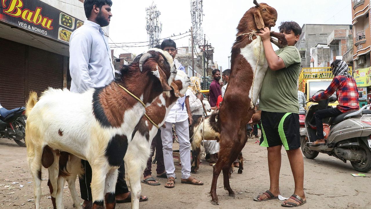 Eid ul-Adha 2024: আজি ঈদ উল আজহা, এই ঈদত কিয় ছাগলী বলি দিয়া হয় জানেনে? Eid ul-Adha 2024: আজি ঈদ উল আজহা, এই ঈদত কিয় ছাগলী বলি দিয়া হয় জানেনে?