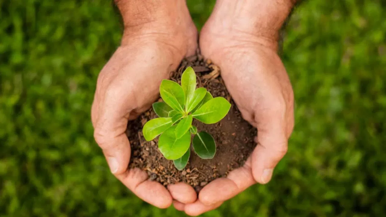 World Environment Day 2024 : কিয় বিশ্ব পৰিৱেশ দিৱস উদযাপন কৰা হয় আৰু এই বছৰৰ বিষয়বস্তু কি? World Environment Day 2024 : কিয় বিশ্ব পৰিৱেশ দিৱস উদযাপন কৰা হয় আৰু এই বছৰৰ বিষয়বস্তু কি?