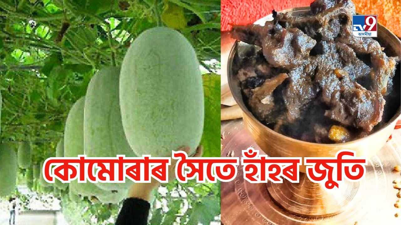 Duck Curry Assamese Style: কোমোৰাৰ সৈতে এনেকৈ বনাওক হাঁহৰ মাংস, আলহীয়ে আঙুলি চেলেকি থাকিব