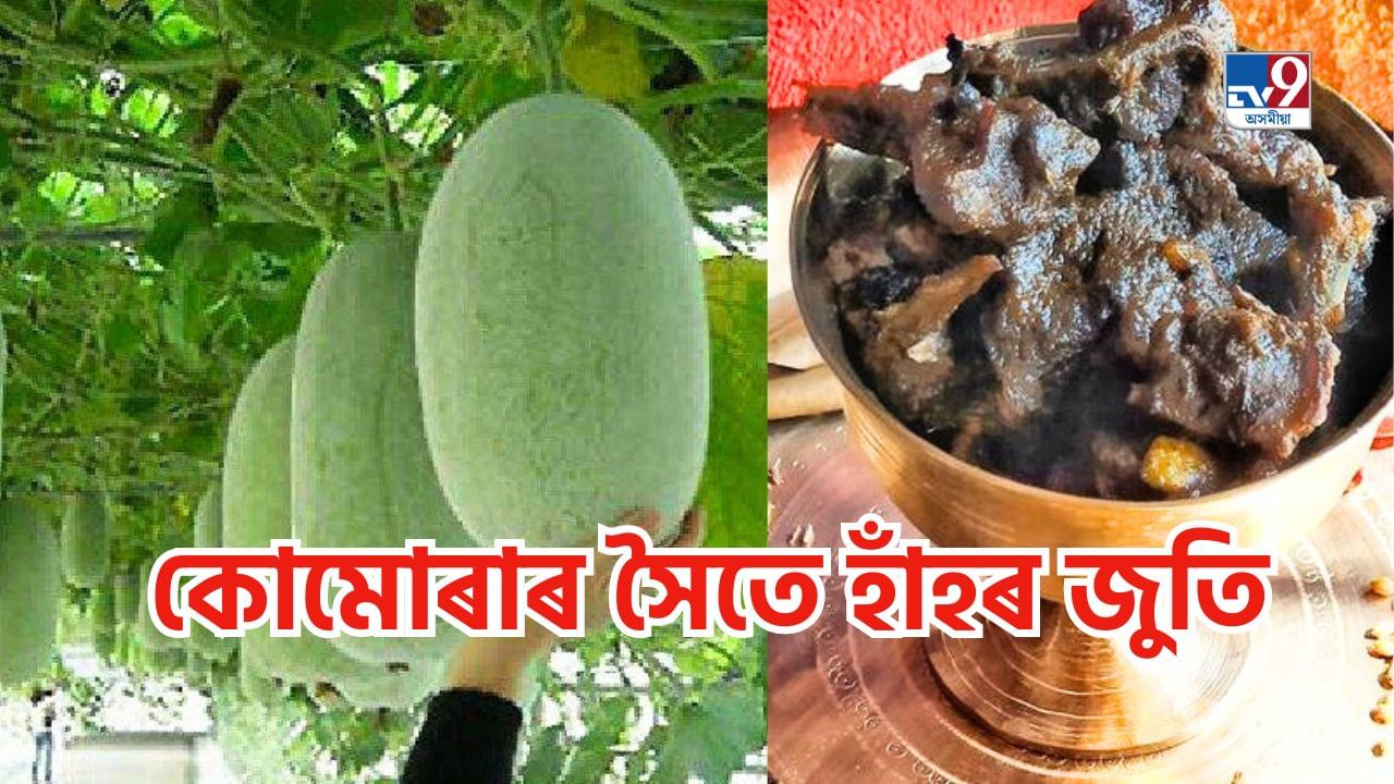Duck Curry Assamese Style: কোমোৰাৰ সৈতে এনেকৈ বনাওক হাঁহৰ মাংস, আলহীয়ে আঙুলি চেলেকি থাকিব Duck Curry Assamese Style: কোমোৰাৰ সৈতে এনেকৈ বনাওক হাঁহৰ মাংস, আলহীয়ে আঙুলি চেলেকি থাকিব