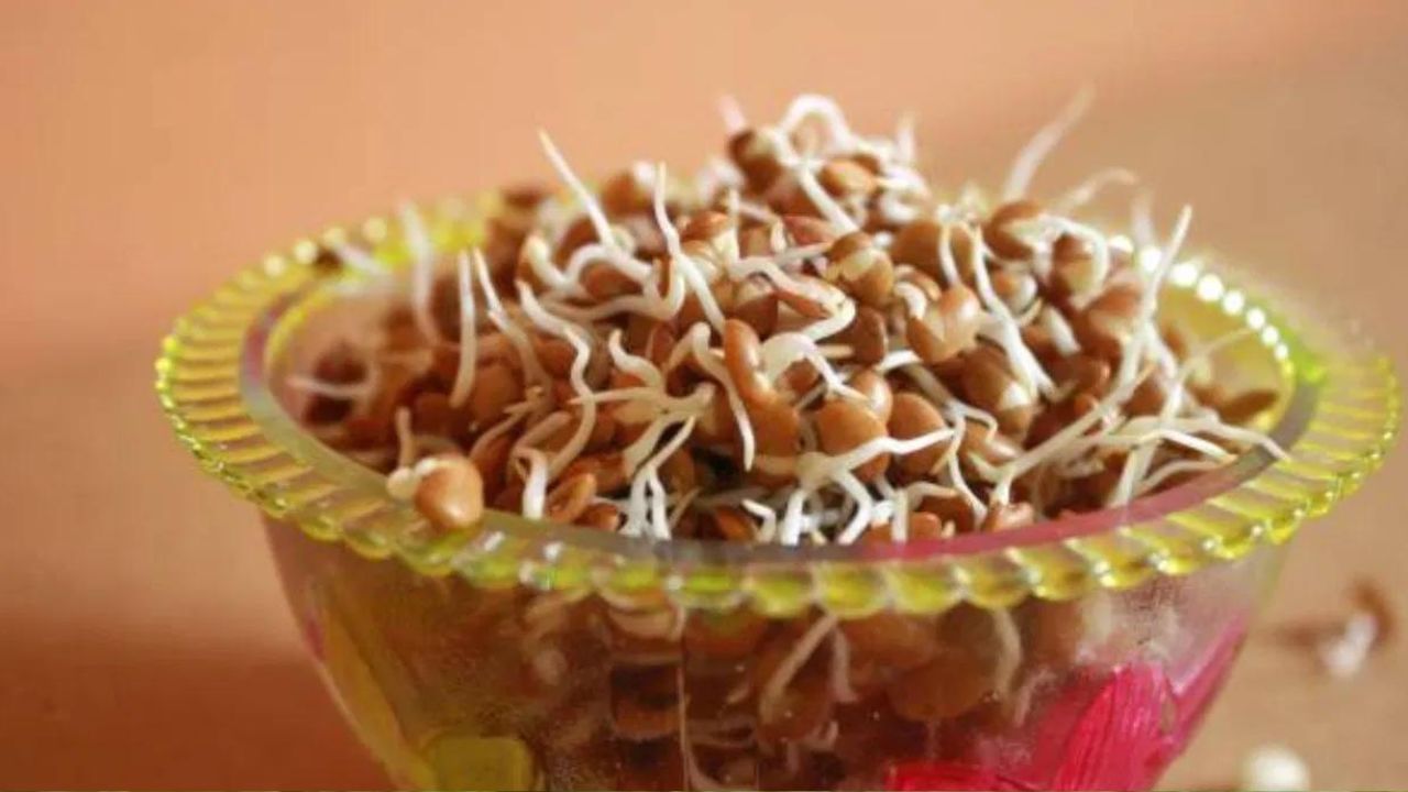 গজালি ওলোৱা বুট-মগু স্বাস্থ্যৰ বাবে অতি উপকাৰী। কিন্তু বাৰিষাৰ সময়ত সেইবোৰ প্ৰায় নাখাব। অধিক আৰ্দ্ৰতাৰ বাবে এই খাদ্যসমূহত বেক্টেৰিয়া বাঢ়ি যায়। ইয়াৰ ফলত পেটৰ সমস্যা হয়।