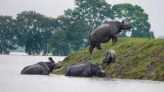 ক’ম হোৱা নাই দুৰ্দশা! এতিয়াও ১৩৪২ গাঁৱৰ ৫.৯৭ লাখলোক বানাক্ৰান্ত, মৃত্যু ৯৩ জন