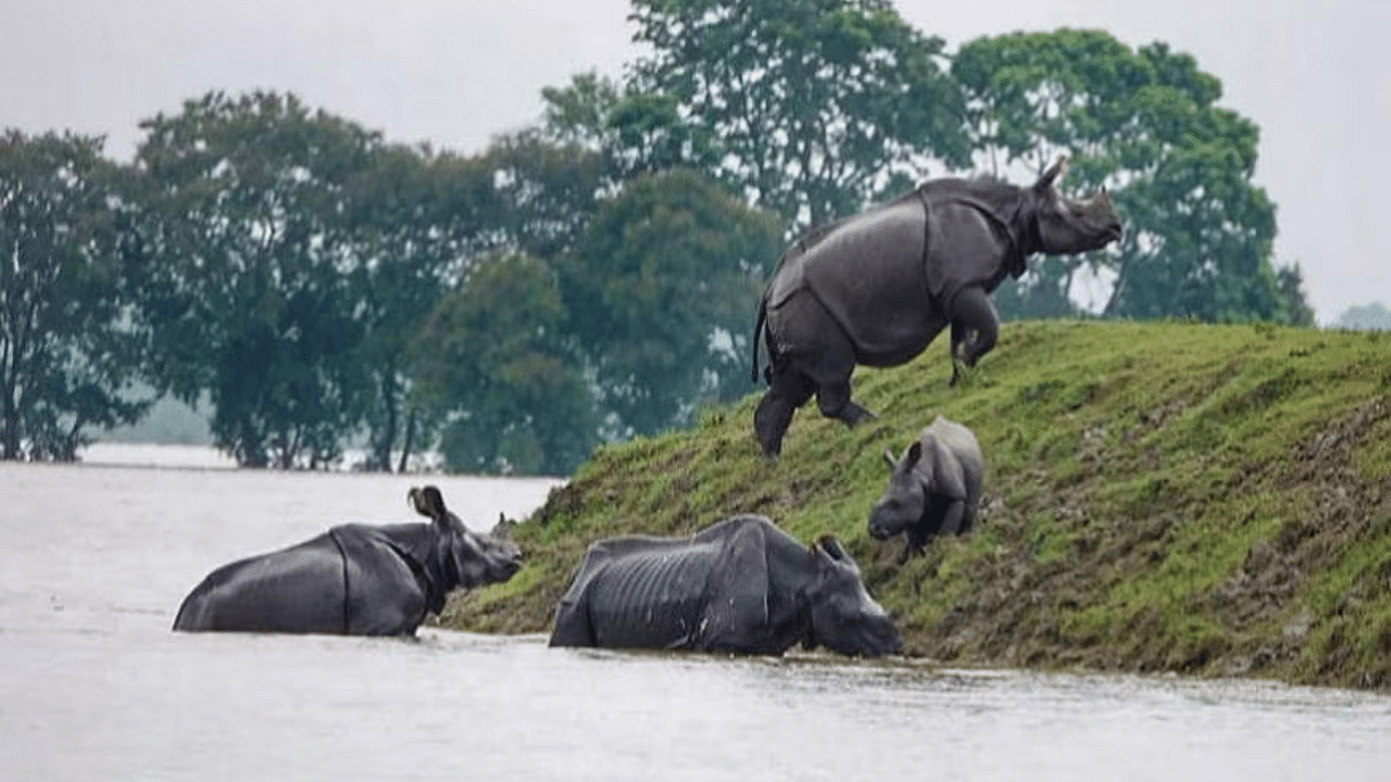 কম হোৱা নাই দুৰ্দশা! এতিয়াও ১৩৪২ গাঁৱৰ ৫.৯৭ লাখলোক বানাক্ৰান্ত, মৃত্যু ৯৩ জন