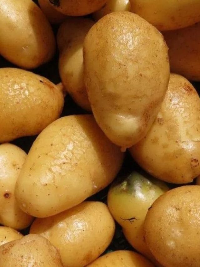 আলুৰ উপকাৰিতাই আচৰিত কৰিব আপোনাক, খাবলৈ এৰি কৰিব এই কাম!