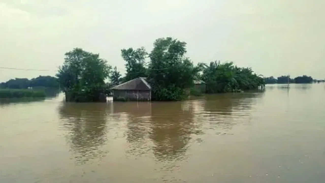 উত্তৰ প্ৰদেশত বানৰ ভয়ংকৰ ৰূপ! বন্ধ দিল্লী-লক্ষ্ণৌ ৰাষ্ট্ৰীয় ঘাইপথ, ১১জনৰ মৃত্যু