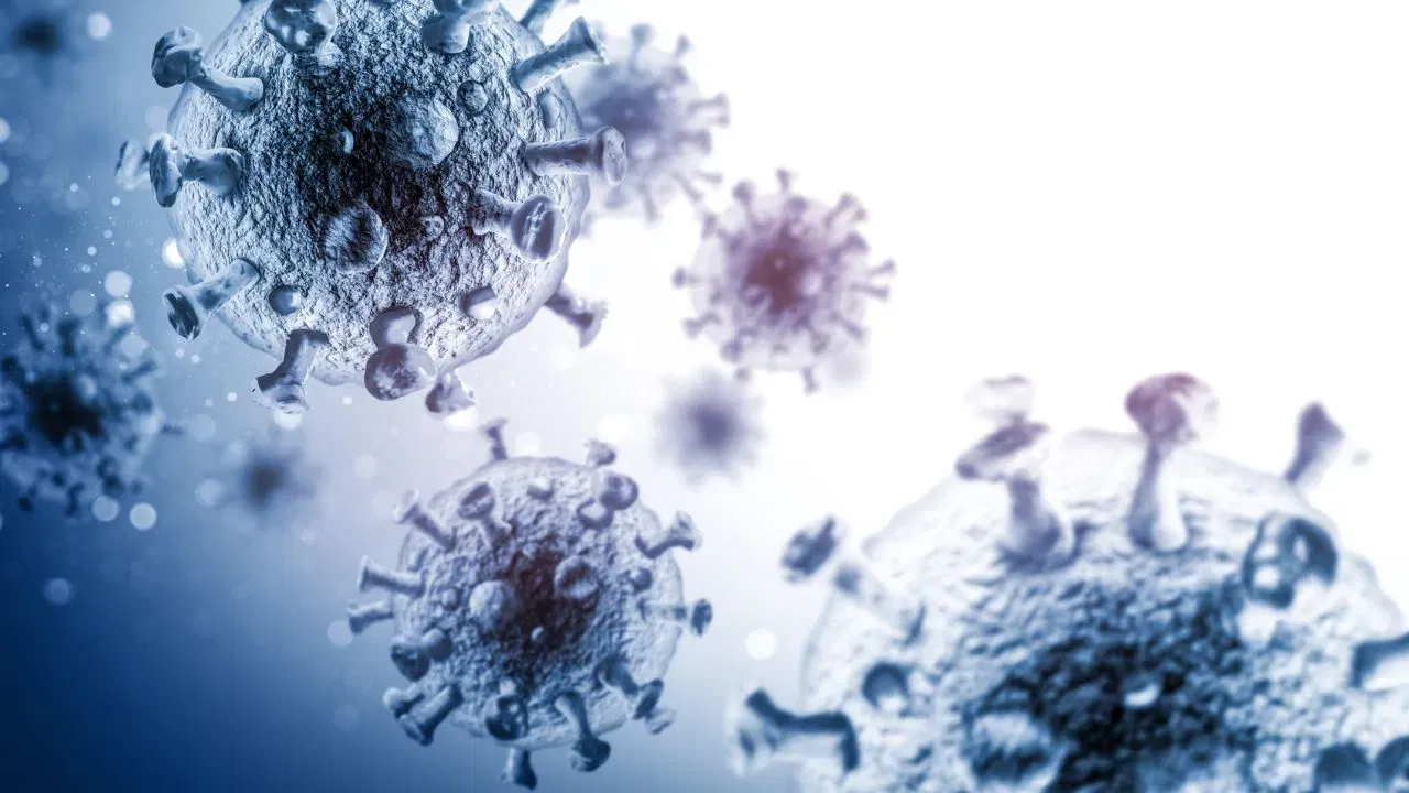 Chandipura Virus :সাৱধান! চণ্ডীপুৰা ভাইৰাছে ক্ষতি কৰিব পাৰে আপোনাৰ মগজুৰ… Chandipura Virus :সাৱধান! চণ্ডীপুৰা ভাইৰাছে ক্ষতি কৰিব পাৰে আপোনাৰ মগজুৰ…