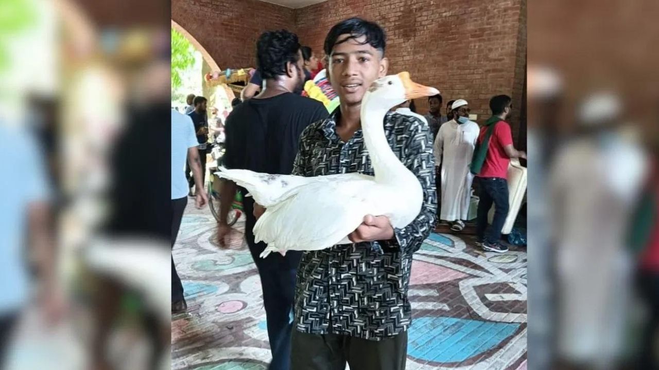 উল্লেখ্য যে, শ্বেখ হাছিনাৰ পদত্যাগৰ পাছত দেশখন পৰিচালনাৰ বাবে অন্তৱৰ্তীকালীন চৰকাৰ গঠন হ’ব বুলি ঘোষণা কৰিছে সেনাই ।