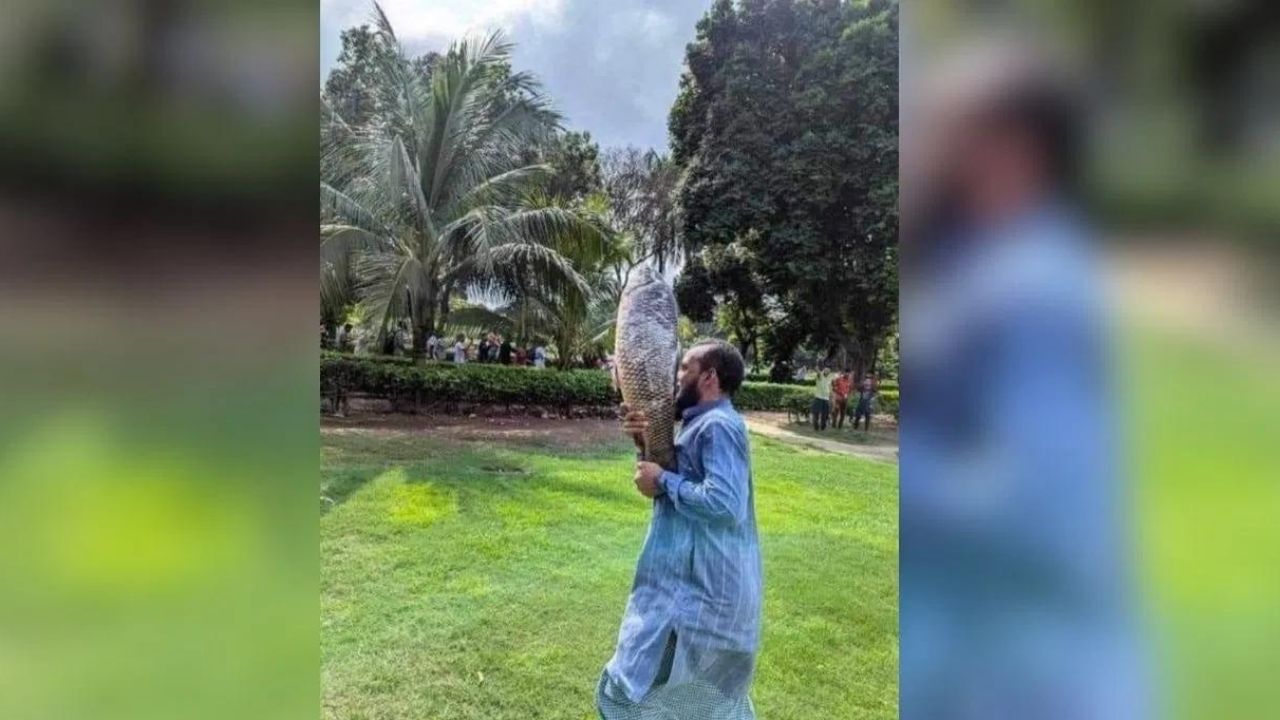 একাংশ প্ৰতিবাদকাৰীয়ে পাকঘৰৰ ফ্ৰীজত থোৱা মাছ-মাংসৰ লগতে অন্যান্য খাদ্য ভোজন কৰে আৰু নোখোৱা খিনি লৈ যায় ।