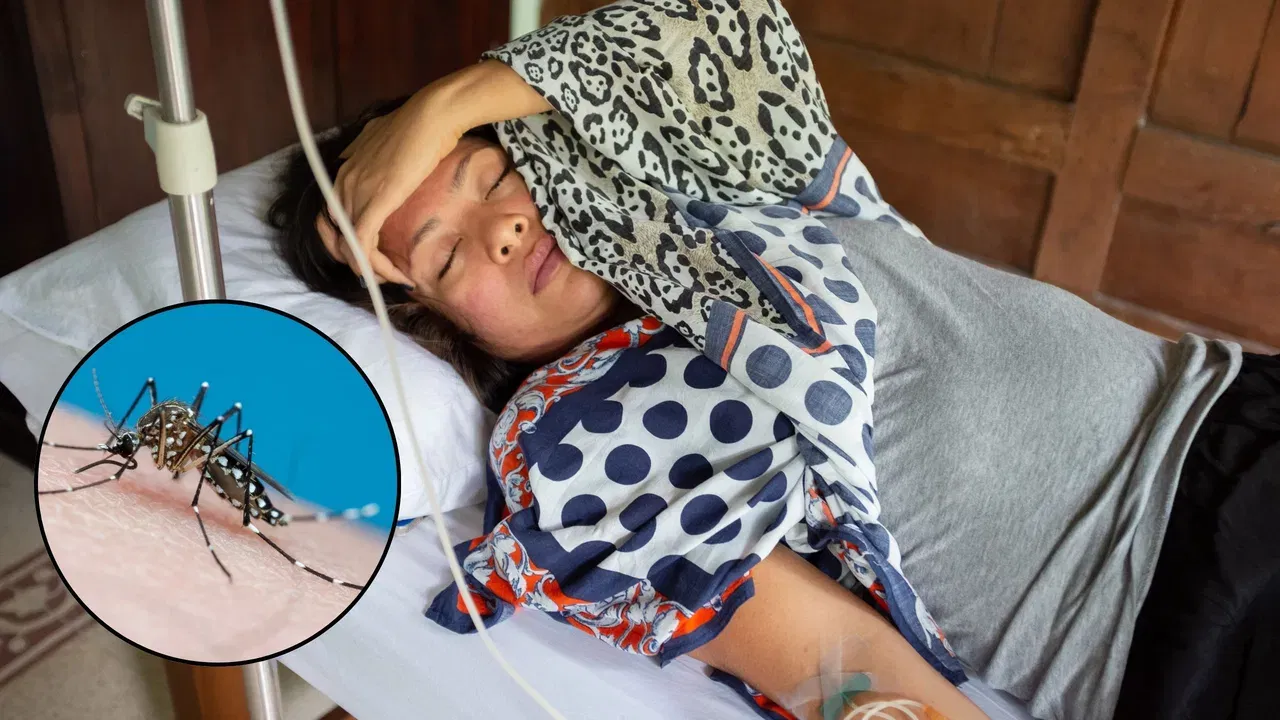 সাৱধান! ডেংগু-মেলেৰিয়াৰ উপৰিও মহৰ কামোৰৰ ফলত হ’ব পাৰে আন বহুতো সংক্ৰামক ৰোগ সাৱধান! ডেংগু-মেলেৰিয়াৰ উপৰিও মহৰ কামোৰৰ ফলত হ’ব পাৰে আন বহুতো সংক্ৰামক ৰোগ
