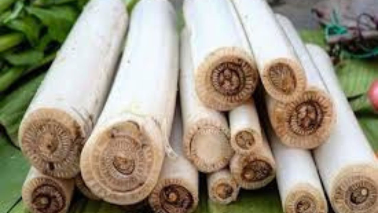 ইউৰিক এচিডৰ সমস্যাত ই খুবেই উপকাৰী। এই সমস্যাত ভোগা সকলে মাজে মাজে পচলা খাওক। ডায়েবেটিচ ৰোগতো ই খুব উপকাৰী। ডায়েবেটিচ ৰোগীয়ে নিচিন্ত মনেৰে পচলা খাওক। ই ডায়েবেটিচ ৰোগৰ পৰা হোৱা অন্য সমস্যাও দূৰ কৰাত সহায় কৰে।