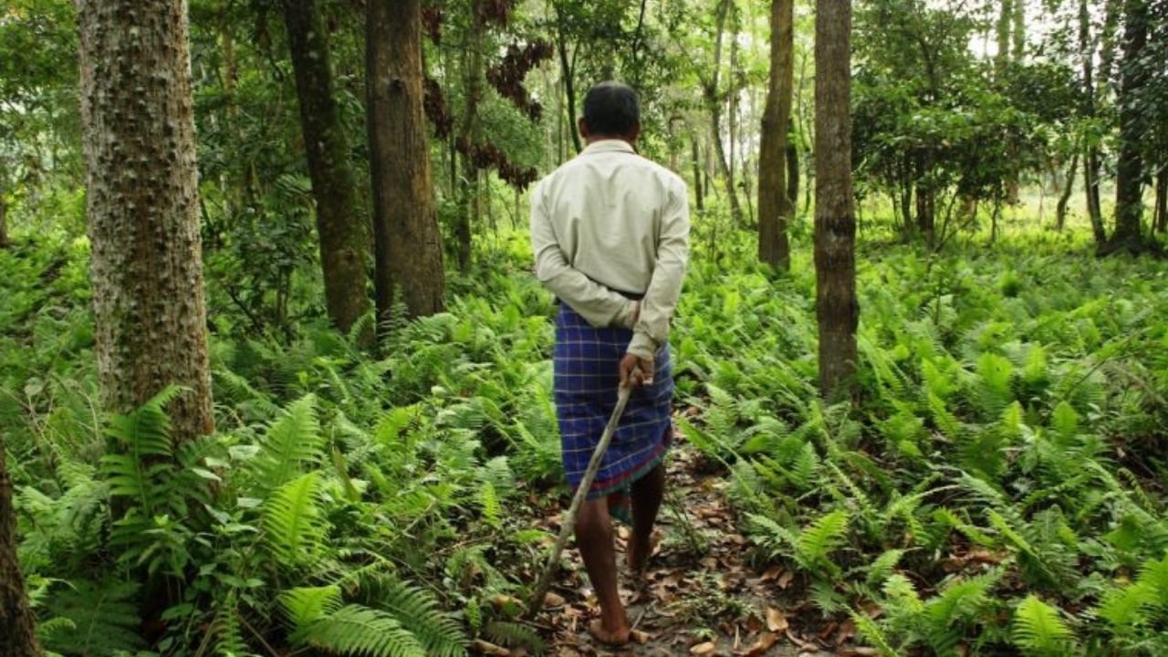 যোৰহাট - বৰ্তমান যোৰহাটৰ প্ৰধান আকৰ্ষণ হৈছে মুলাই বনাঞ্চল। যাদৱ পায়েঙে সৃষ্টি কৰা এই মুলাই বনাঞ্চলত এতিয়া পৃথিৱী সৰ্ববৃহৎ হাতীৰ জাকটো আছে বুলি কোৱা হয় । ইফালে যোৰহাট ভ্ৰমণ কৰি আপুনি গিবন অভয়াৰণ্য চাব পাৰে ।