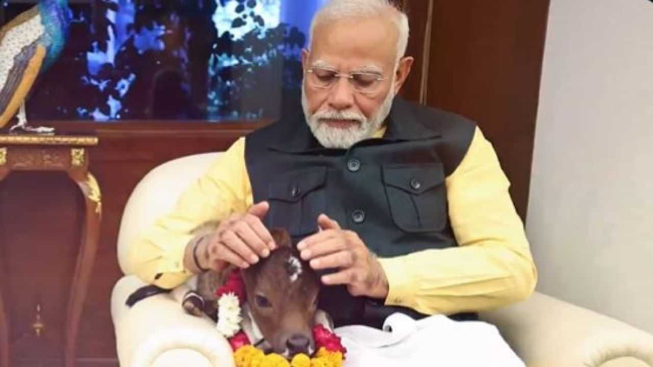 প্ৰধানমন্ত্ৰী মোদীৰ আৱাসলৈ নতুন সদস্যৰ আগমন, নাম ৰাখিলে দীপজ্যোতি প্ৰধানমন্ত্ৰী মোদীৰ আৱাসলৈ নতুন সদস্যৰ আগমন, নাম ৰাখিলে দীপজ্যোতি