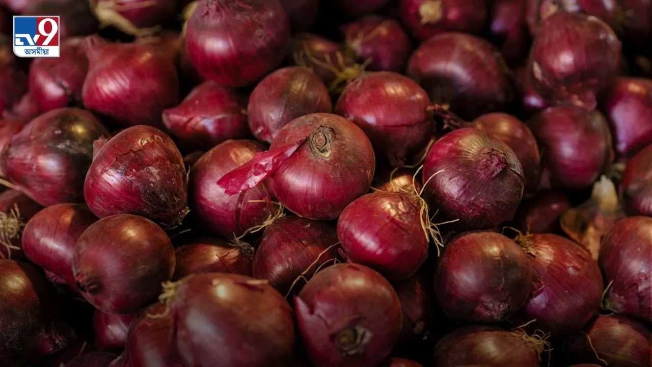 Onion price