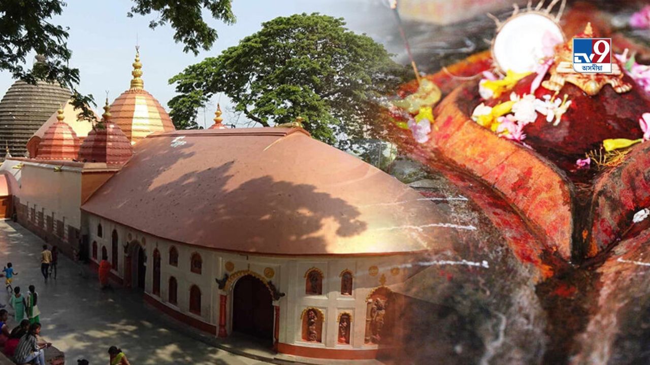 ভাৰতত কিমানখন আছে শক্তিপীঠ? জানো আহক শক্তিপীঠৰ মাহাত্ম্যৰ বিষয়ে ভাৰতত কিমানখন আছে শক্তিপীঠ? জানো আহক শক্তিপীঠৰ মাহাত্ম্যৰ বিষয়ে