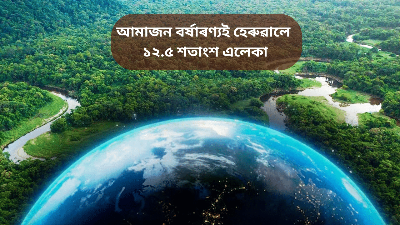 Amazon forest: বৃদ্ধি হ’ব পাৰে উষ্ণতা! ভয়ংকৰ হাৰত বন ধ্বংস হৈছে পৃথিৱীৰ হাওঁফাওঁ আমাজন বৰ্ষাৰণ্যত Amazon forest: বৃদ্ধি হ’ব পাৰে উষ্ণতা! ভয়ংকৰ হাৰত বন ধ্বংস হৈছে পৃথিৱীৰ হাওঁফাওঁ আমাজন বৰ্ষাৰণ্যত
