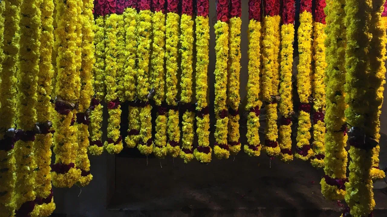 আপুনি হালধীয়া বা ৰঙা ফুল ব্যৱহাৰ কৰি দীঘলকৈ মালা বনাই ইয়াক আঁৰি দিব পাৰে। নিজৰ ইচ্ছা অনুযায়ী ফুল ব্যৱহাৰ কৰিব পাৰে। Getty Images