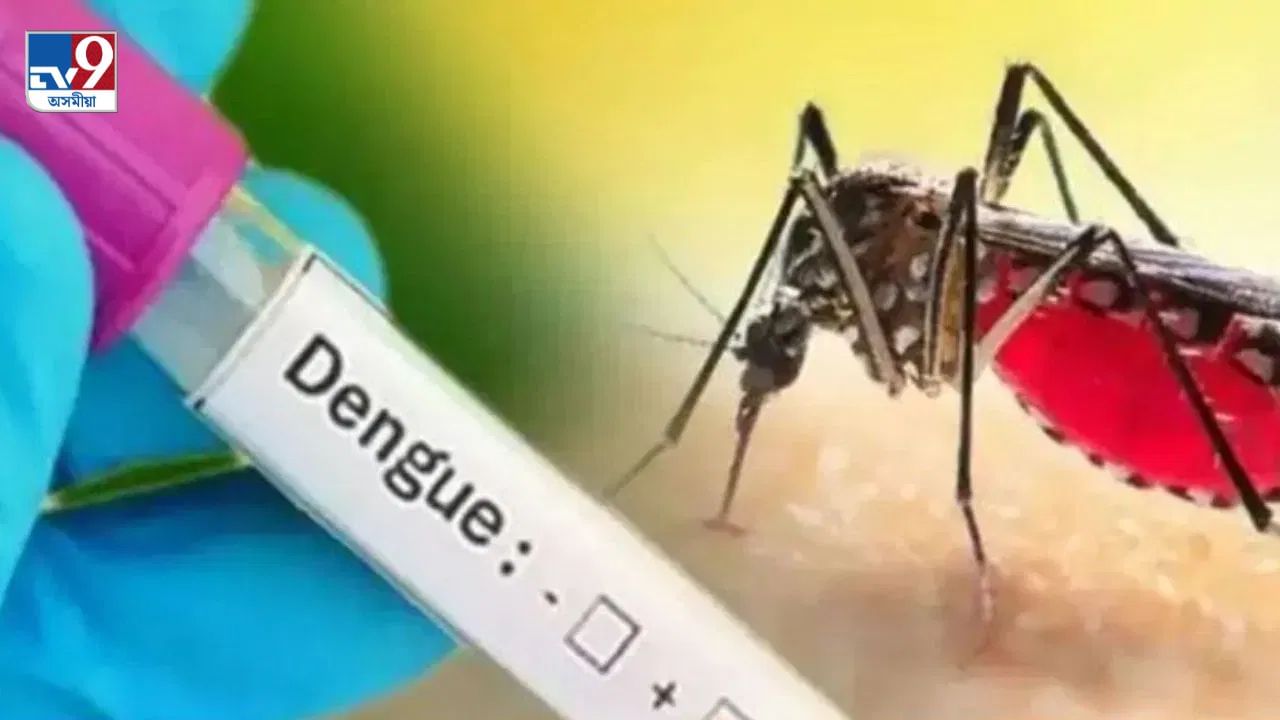 dengue