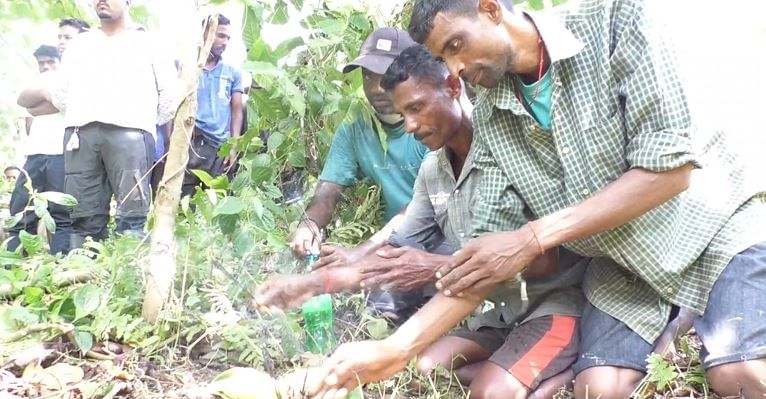  ভৰিত আঘাতপ্ৰাপ্ত হৈ থকা হাতীটোৰ চিকিৎসা প্ৰদানৰ বাবে কোনো ধৰণৰ ব্যৱস্থা গ্ৰহণ নকৰাৰ অভিযোগ বন বিভাগৰ বিৰুদ্ধে । যাৰ ফলত কাতৰ যন্ত্ৰণাত চটফটাই শনিবাৰে হাতীটো মৃত্যুমুখত পৰিবলগীয়া হয়। 