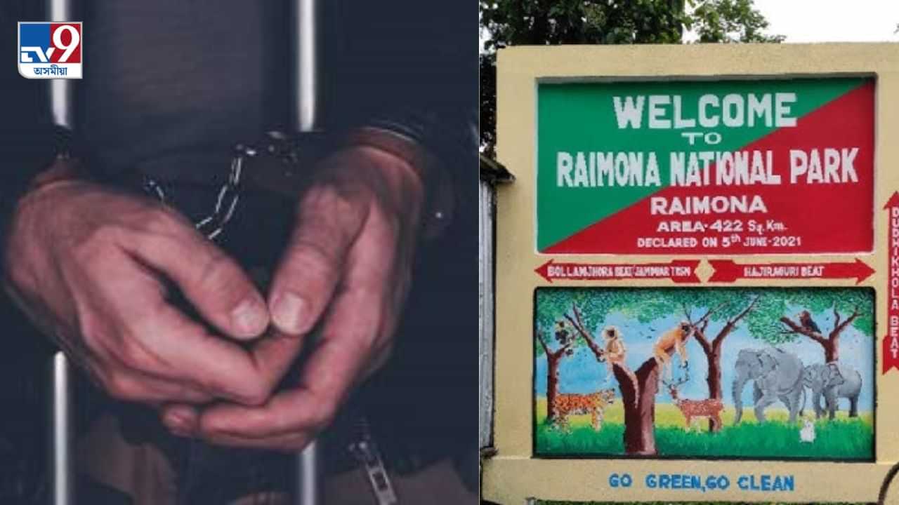 ৰাইমনা ৰাষ্ট্ৰীয় উদ্যানত সন্দেহজনক চোৰাং চিকাৰী গ্ৰেপ্তাৰঃ উদ্ধাৰ হৰিণাৰ মাংস