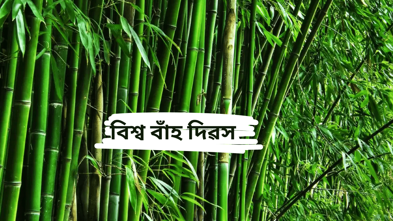 world bamboo day