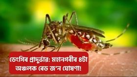 Dengue cases in Guwahati: মহানগৰীত ডেংগিত আক্ৰান্ত হৈ মহিলাৰ মৃত্যু! ৪টা অঞ্চলক ৰেড জ’ন ঘোষণা