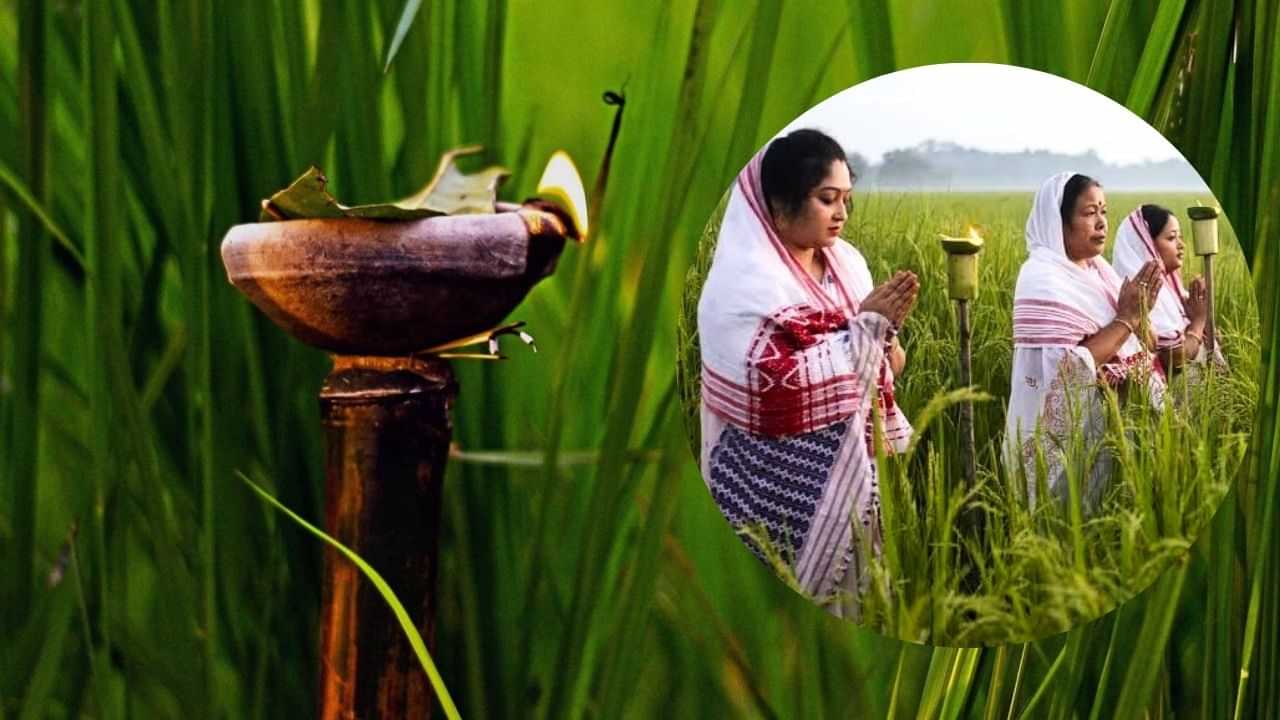 Kati Bihu 2024: সমাগত কাতি বিহু, জানক তাৎপৰ্য, তাৰিখ আৰু কাতি বিহুৰ শুভেচ্ছা বাৰ্তা