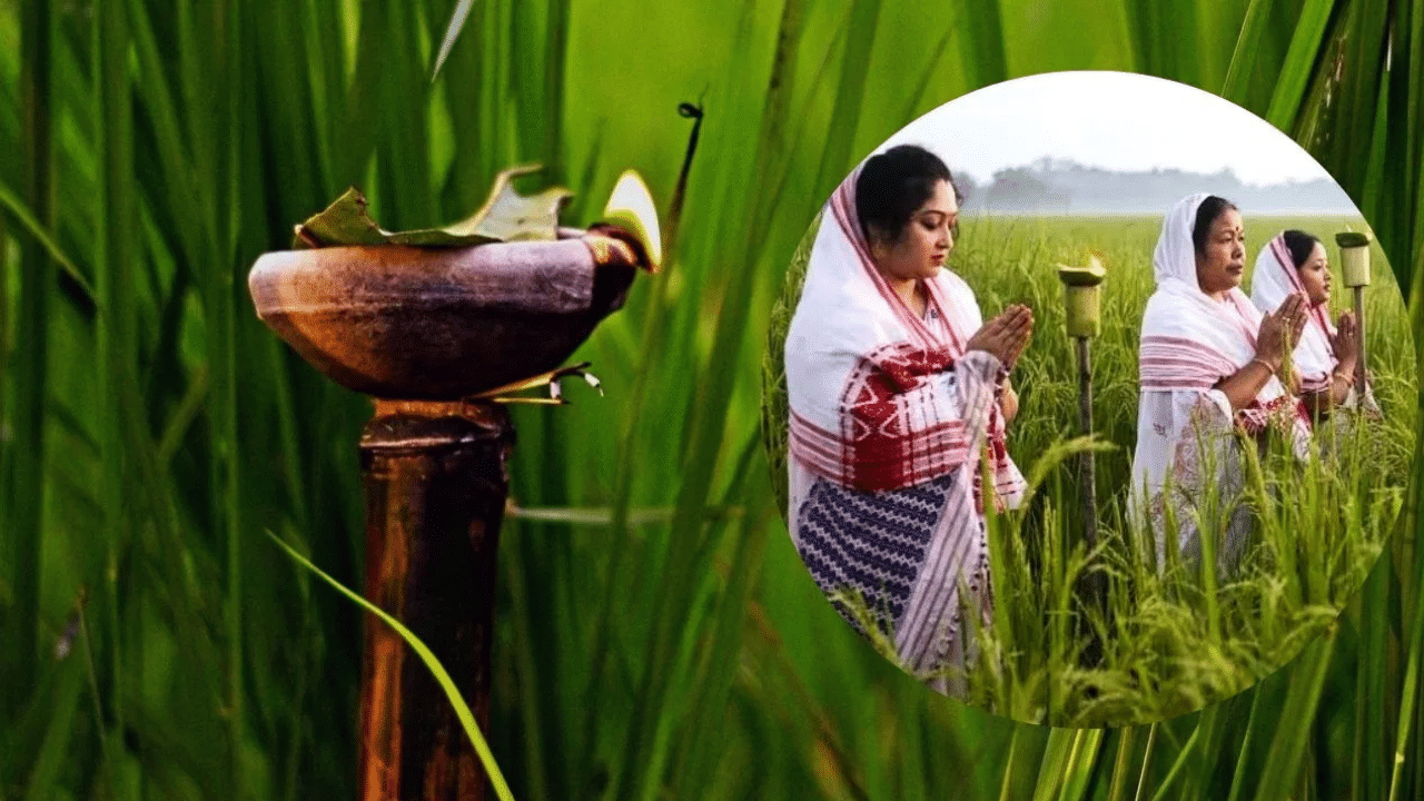 kati bihu: আজি কাতি বিহু, জানক এই বিহুৰ তাৎপৰ্য, পৰম্পৰা আদি সকলো...