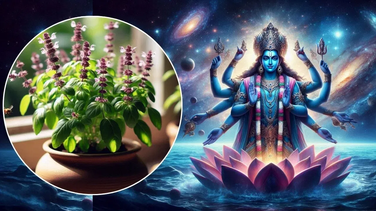 Tulsi Vivah 2024: ভগৱান বিষ্ণুৱে কিয় তুলসীৰ সৈতে বিবাহপাশত আৱদ্ধ হৈছিল? Tulsi Vivah 2024: ভগৱান বিষ্ণুৱে কিয় তুলসীৰ সৈতে বিবাহপাশত আৱদ্ধ হৈছিল?
