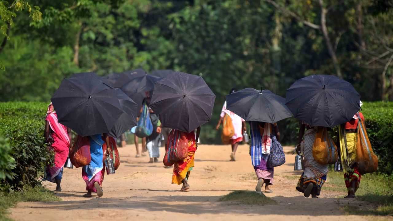 Assam Tea Sales : বৃদ্ধি পাইছে অসমৰ চাহৰ মূল্য, চলিত বিত্তীয় বৰ্ষৰ অক্টোবৰলৈকে ২,৮০০ কোটি টকা চাহ বিক্ৰী...