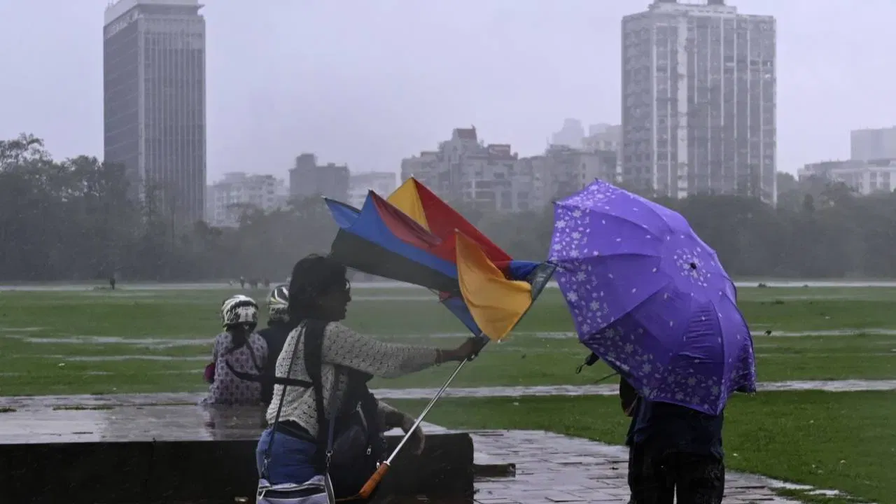 ইয়াৰ উপৰিও, বাহিৰৰ কাৰ্যকলাপ হ্ৰাস কৰাৰ বাবেও এক পৰামৰ্শ দিয়া হৈছে। অৱশ্যে, চেন্নাইত অৰেঞ্জ এলাৰ্ট জাৰি কৰা হৈছে। ধাৰাসাৰ বৰষুণৰ পৰিপ্ৰেক্ষিতত, বুধবাৰে তিৰুভাল্লুৰ, থাঞ্জাভুৰ, মায়িলাডুথুৰাই, পুডুচেৰী, কাৰাইকাল,  চেন্নাই, চেঙ্গালপট্টু, থিৰুভাৰুৰ আৰু কুড্ডালোৰ জিলাত বিদ্যালয় আৰু মহাবিদ্যালয়সমূহ বন্ধ ৰখা হৈছে।