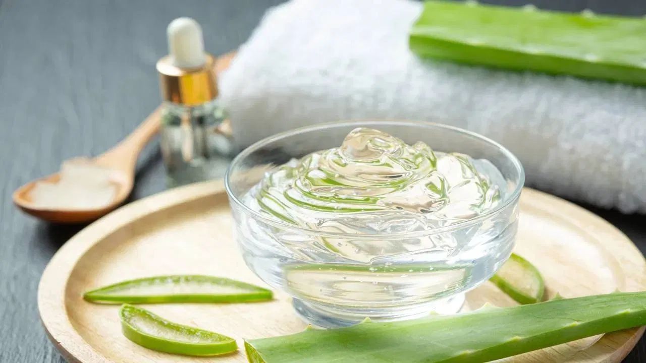 Winter Skin Care Tips : শীতকালত ছালৰ আদ্ৰতা ধৰি ৰাখিবলৈ এলোভেৰা জেল কেনেকৈ ব্যৱহাৰ কৰিব ? জানক