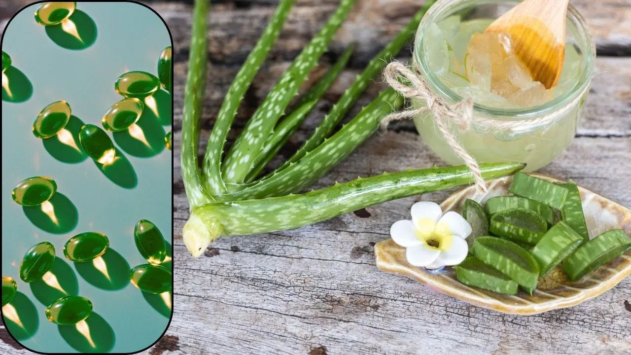 Aloe Vera and Vitamin E Benefits : এলোভেৰা-ভিটামিন ই কেপচুলৰ মিশ্ৰণে ছালৰ বহু সমস্যা দূৰ কৰে, জানক ইয়াৰ উপকাৰিতা কি ?