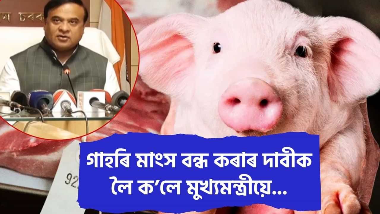 গাহৰি মাংস বন্ধ কৰাৰ কোনো প্ৰশ্নই নাহে, গাহৰি পালকসকলৰ বাবে চৰকাৰে আঁচনিহে লৈছে: মুখ্যমন্ত্ৰী গাহৰি মাংস বন্ধ কৰাৰ কোনো প্ৰশ্নই নাহে, গাহৰি পালকসকলৰ বাবে চৰকাৰে আঁচনিহে লৈছে: মুখ্যমন্ত্ৰী