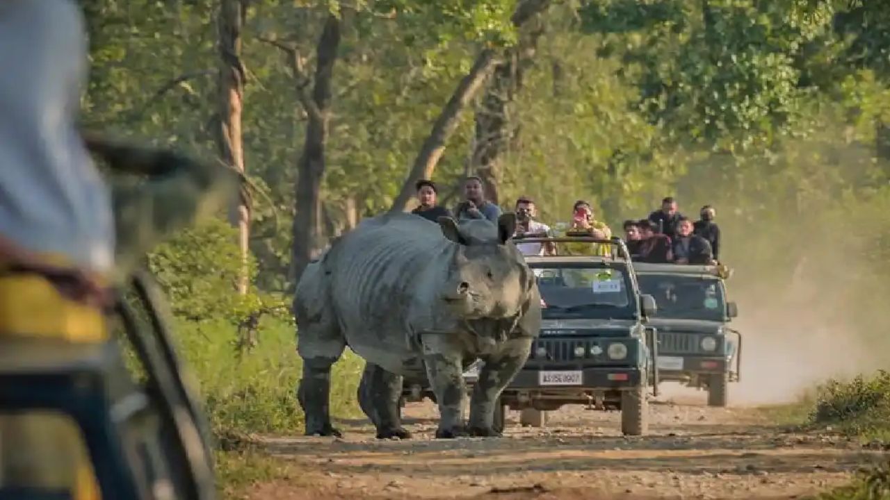 তথ্য মতে অক্টোবৰ মাহত মুঠ ২৯,৫৭৯ জন পৰ্যটকে কাজিৰঙা ভ্ৰমণ কৰিছিল। আনহাতে নৱেম্বৰ মাহত ৰাষ্ট্ৰীয় উদ্যানখনলৈ পৰ্যটকৰ আগমন বৃদ্ধি পায়। নৱেম্বৰত মুঠ ৫১,৪৮৯ গৰাকী পৰ্যটকে কাজিৰঙা ভ্ৰমণ কৰে।