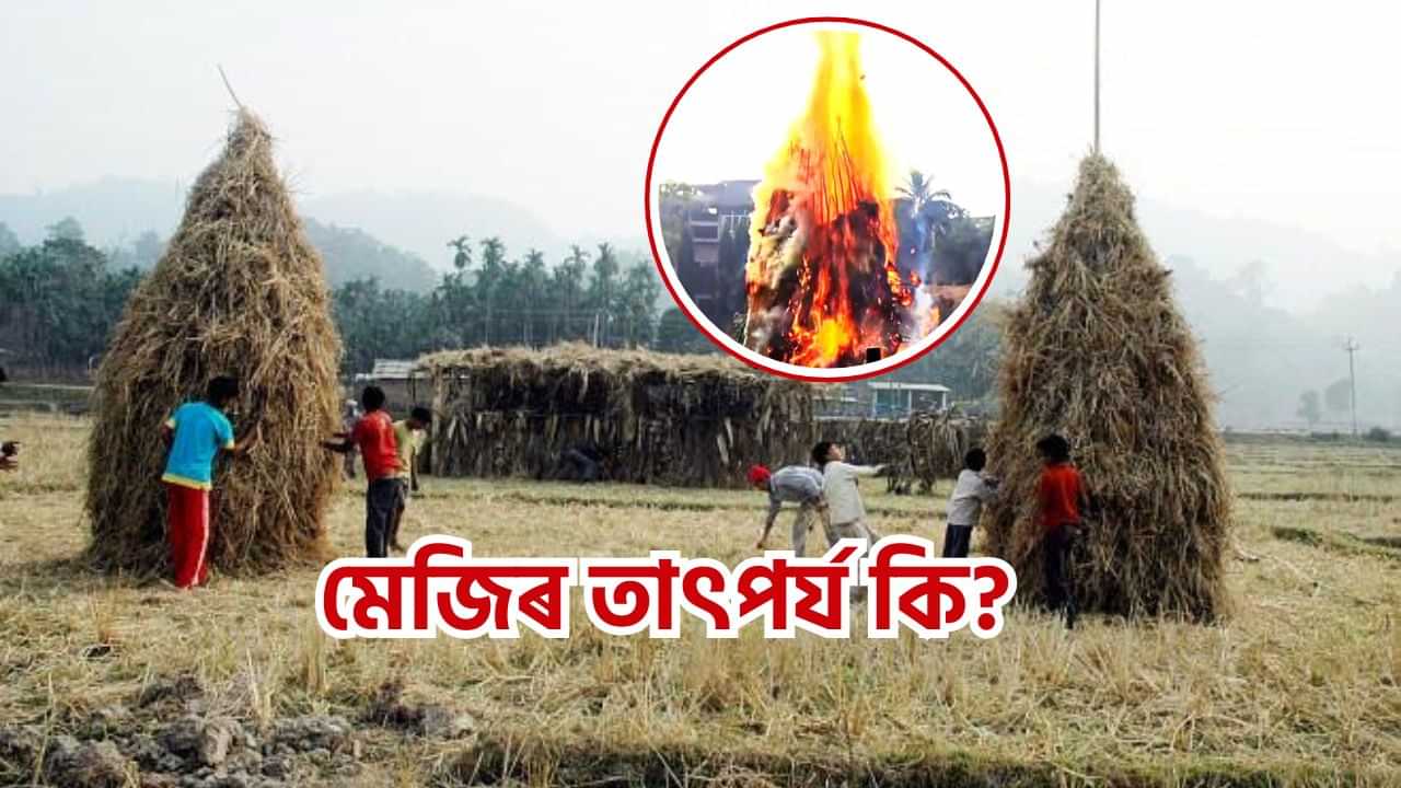 Magh Bihu 2025: মাঘ বিহুত কিয় মেজি জ্বলোৱা হয়? মেজিৰ তাৎপৰ্য আৰু জ্বলোৱাৰ সময়ত পালন কৰিবলগীয়া নিয়মৰ বিষয়ে জানক