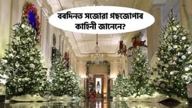 History of Christmas Trees: বৰদিনত সজোৱা গছজোপাৰ ৰহস্য জানেনে? কিয় ইমান বিশেষ এই গছজোপা?