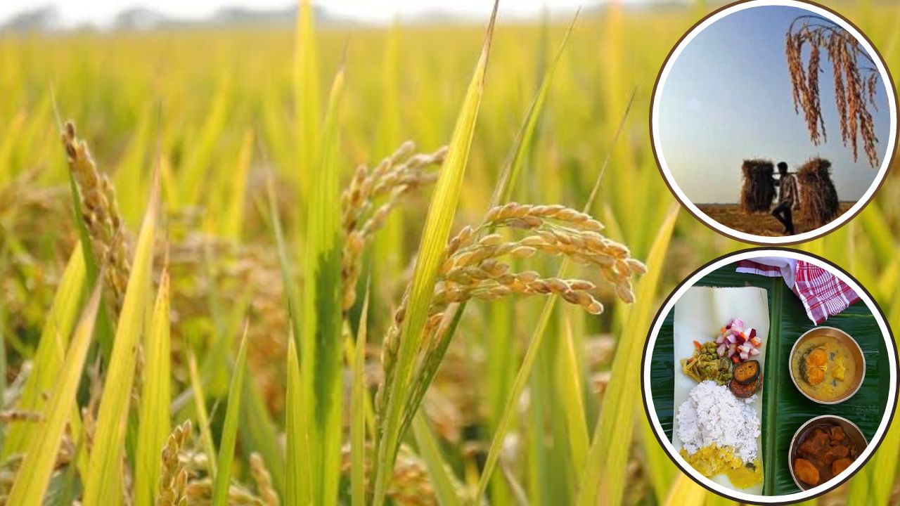 অসমীয়া পৰম্পৰাগত কৃষি ভিত্তিক উৎসৱ ন খোৱা, এই পৰ্ব কেতিয়াৰ পৰা আৰম্ভ হৈছিল জানেনে? অসমীয়া পৰম্পৰাগত কৃষি ভিত্তিক উৎসৱ ন খোৱা, এই পৰ্ব কেতিয়াৰ পৰা আৰম্ভ হৈছিল জানেনে?