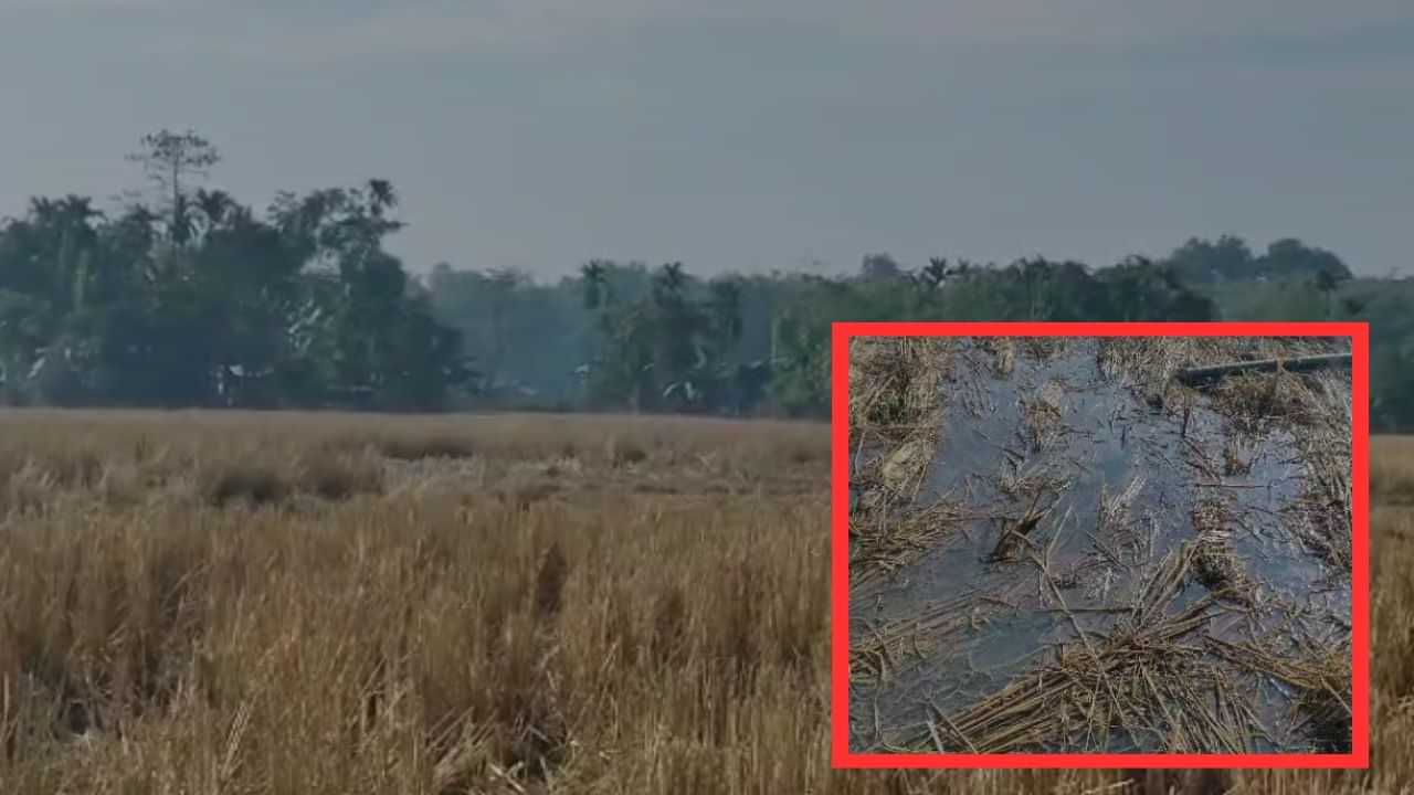 শিৱসাগৰৰ হাঁহচৰাত অ’এনজিচিৰ তেলৰ পাইপ ফুটি বিনষ্ট কৃষিভূমিঃ আতংকিত অঞ্চলবাসী