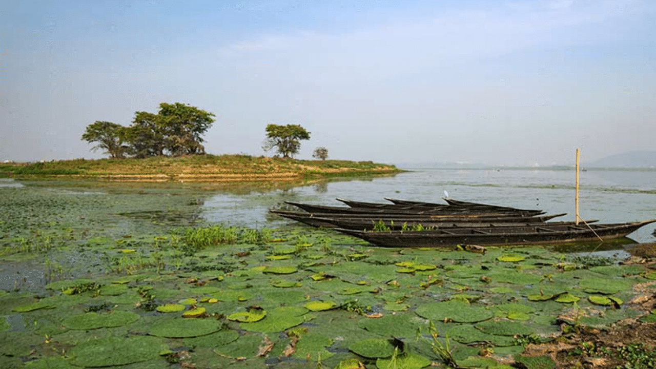 দীপৰ বিলঃ নতুন বছৰত প্ৰকৃতিৰ আনন্দ উপভোগ কৰিবলৈ আপুনি দীপৰ বিললৈ যাব পাৰে। দীপৰ বিল ৩১ নং ৰাষ্ট্ৰীয় ঘাইপথৰ পৰা প্ৰায় (দক্ষিণ পশ্চিম গুৱাহাটী) ১৩ কিলোমিটাৰ দূৰত অৱস্থিত। জালুকবাৰী-খানাপাৰা ৩৭ নং ৰাষ্ট্ৰীয় ঘাইপথৰ পৰা উত্তৰ-পূব দিশত আৰু অসম অভিযান্ত্ৰিক মহাবিদ্যালয়ৰ পৰা উত্তৰ দিশত ই অৱস্থিত। এই বিলখনত আপুনি বিভিন্ন পৰিভ্ৰমী চৰাই দেখিবলৈ পাব। 