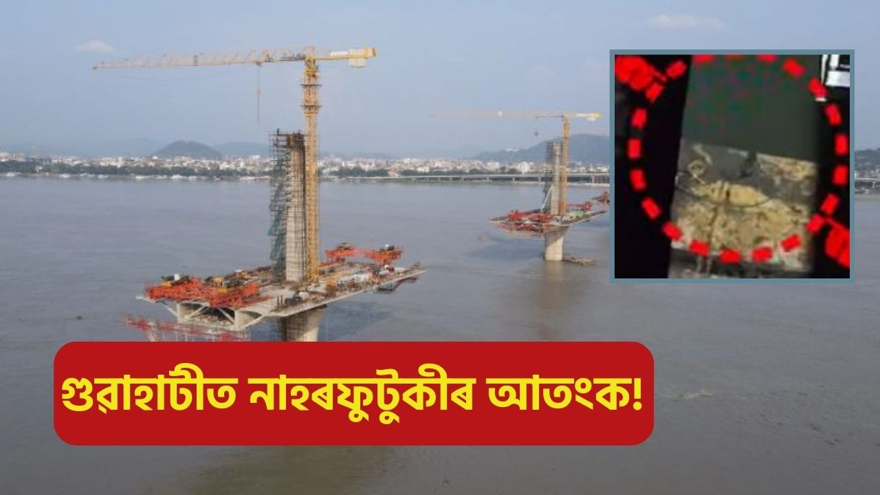 গুৱাহাটীত পুনৰ নাহৰফুটুকীৰ আক্ৰমণ, কামৰ পৰা পলায়ন শ্ৰমিকৰ দলৰ! গুৱাহাটীত পুনৰ নাহৰফুটুকীৰ আক্ৰমণ, কামৰ পৰা পলায়ন শ্ৰমিকৰ দলৰ!