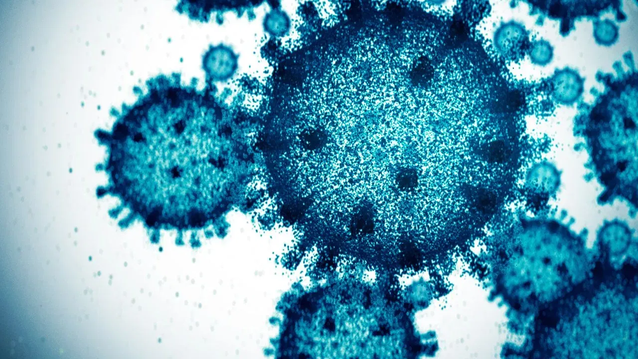 Marburg virus : কিমান মাৰাত্মক মাৰবাৰ্গ ভাইৰাছ? ভাৰতৰ বাবেও সৃষ্টি হ’ব নেকি বিপদ? Marburg virus : কিমান মাৰাত্মক মাৰবাৰ্গ ভাইৰাছ? ভাৰতৰ বাবেও সৃষ্টি হ’ব নেকি বিপদ?