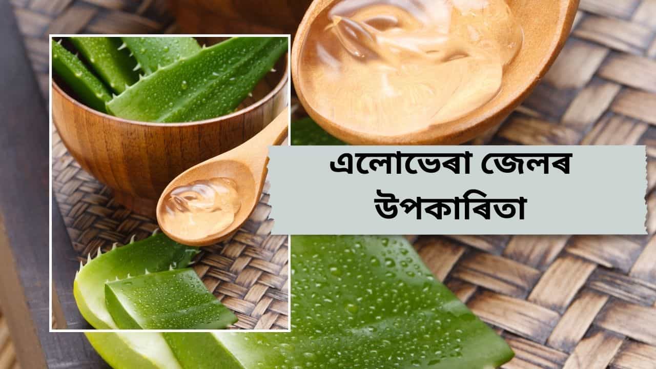 ছাল শুকান হোৱা, মূৰৰ উফি সমস্যা নাইকীয়া কৰিবলৈ এলোভেৰা কিমান উপকাৰী ? জানক
