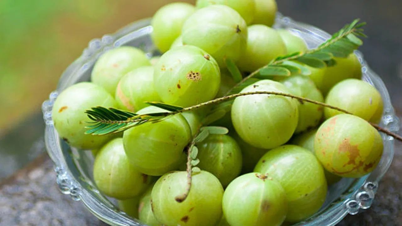 ছাল আৰু চুলিৰ যত্নৰ বাবেও আমলখি অত্যন্ত উপকাৰী। ইয়াত থকা এন্টিঅক্সিডেন্ট গুণে ছালখনক সুৰক্ষা দিয়াৰ লগতে উজ্জ্বল কৰি তোলে। লগতে আমলখিয়ে চুলিৰ শিপা মজবুত কৰে আৰু চুলি সৰা ৰোধ কৰে।