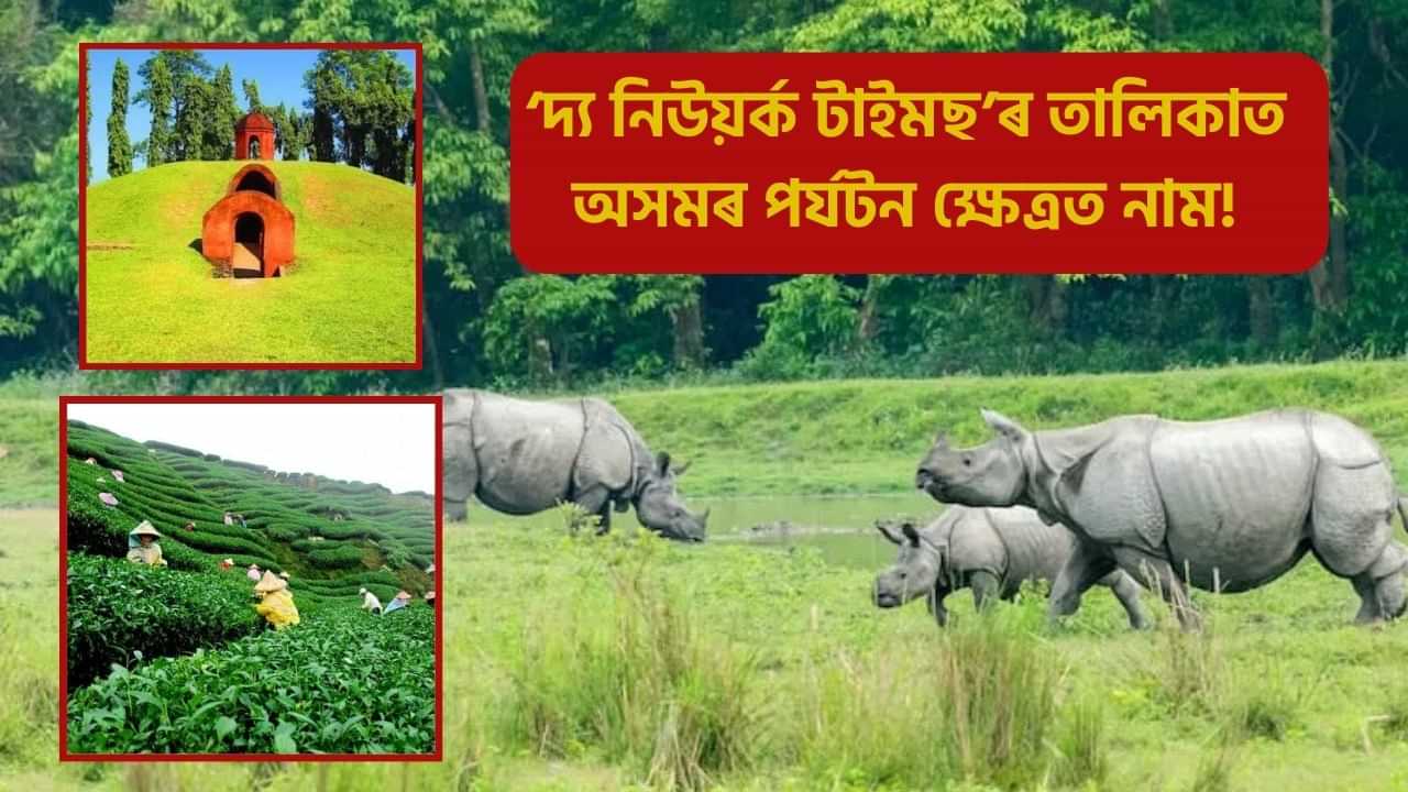 বিশ্ব পৰ্যটনৰ মানচিত্ৰত অসম! ‘দ্য নিউয়ৰ্ক টাইমছ’ৰ তালিকাত লাভ কৰিলে চতুর্থ স্থান...