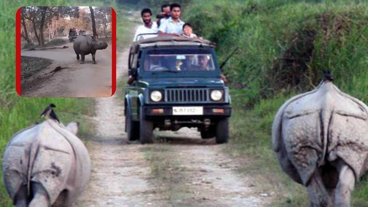 কাজিৰঙাত জীপ ছাফাৰীৰ সময়ত অঘটন! দুটাকৈ গঁড়ৰ সন্মুখত বাহনৰ পৰা ছিটিকি পৰিল মাতৃ আৰু সন্তান কাজিৰঙাত জীপ ছাফাৰীৰ সময়ত অঘটন! দুটাকৈ গঁড়ৰ সন্মুখত বাহনৰ পৰা ছিটিকি পৰিল মাতৃ আৰু সন্তান